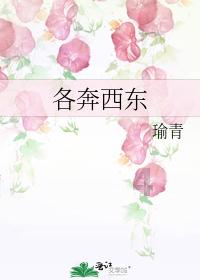 留坝:擦亮乡村振兴“底色” 扮靓和美乡村“颜值”
